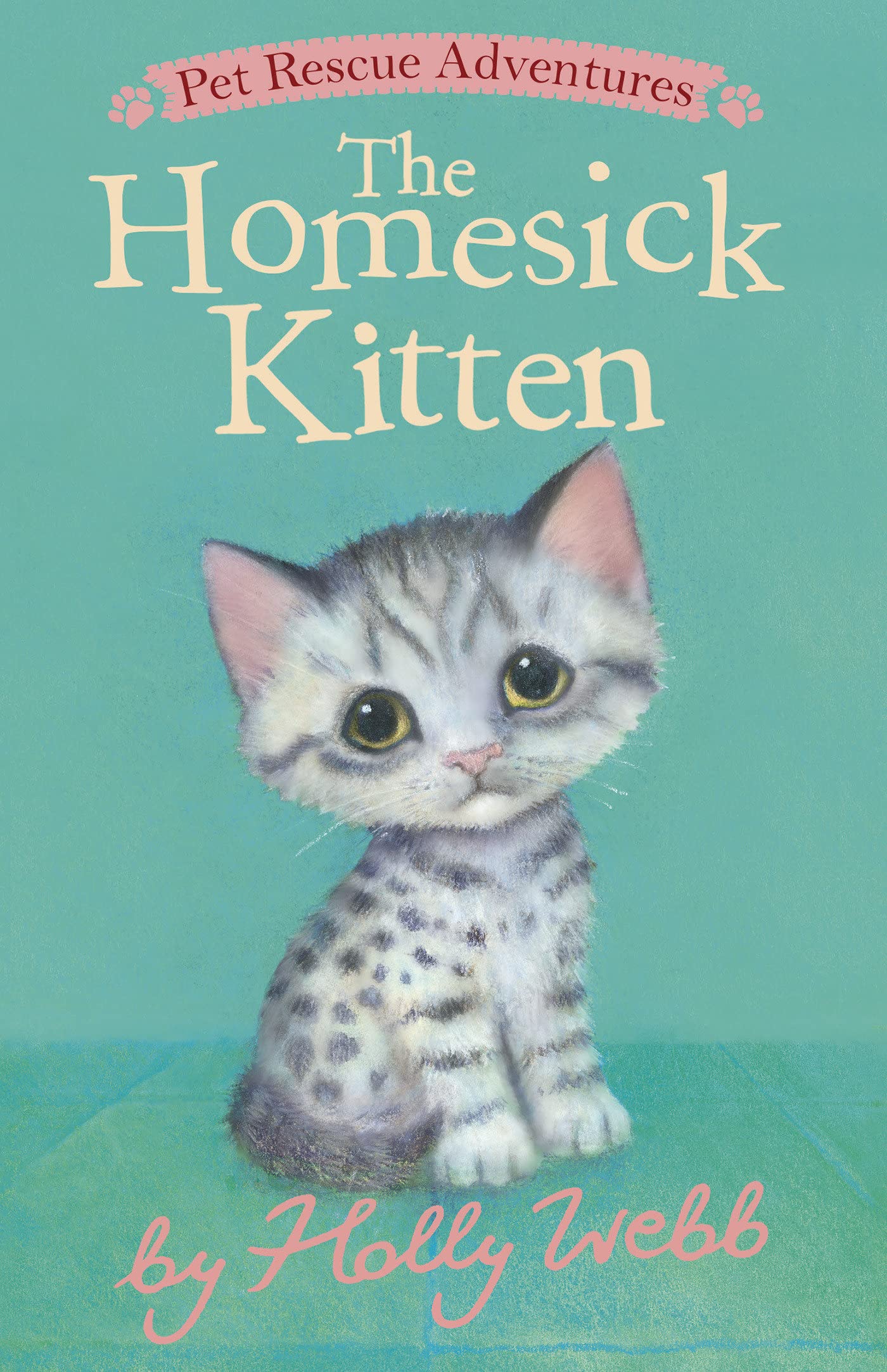 The Homesick Kitten (Pet Rescue Adventures)